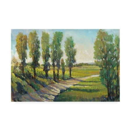 Tim Otoole 'Lush Landscape I' Canvas Art,16x24